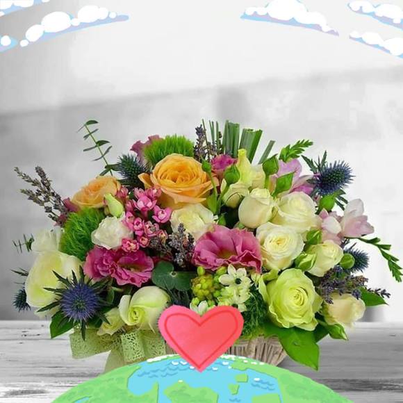 Meet your Posher, Sandra - Picture 1 of 1